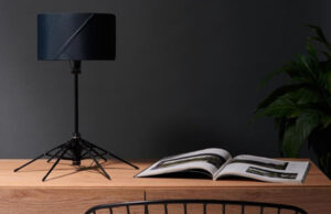 Kediden Yaramaz Kelebekten Narin Hayvan: Şemsiye