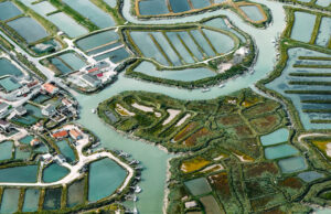 Günün Tadı Tuzu Olmaya Aday Fikirler