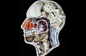 Kafadan Para Kazanmak (Örnek Vaka)