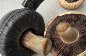 Başkalarının Görmediği Detaylar