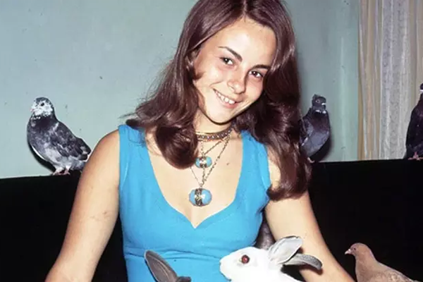 aysecik
