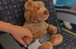 Oyuncak Evlat Edinme Ajansı