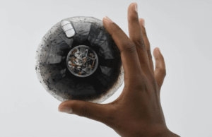 79’uncu Organımız