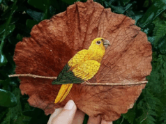 Ağaçların Duyargasından Para Kazanmak