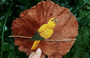 Ağaçların Duyargasından Para Kazanmak