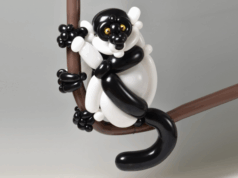 Sosis Balondan Heykel Yapıyoruz