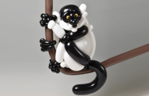 Sosis Balondan Heykel Yapıyoruz